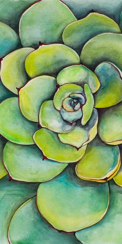 Succulent à l'aquarelle