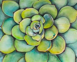 Succulent à l'aquarelle