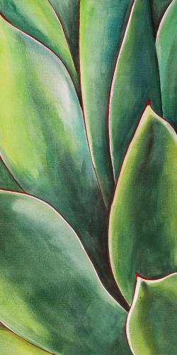 Plante d'agave à l'aquarelle