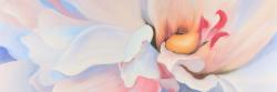 Fleur aux teintes pastel