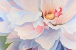Fleur aux teintes pastel