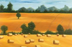 Hay bale fields