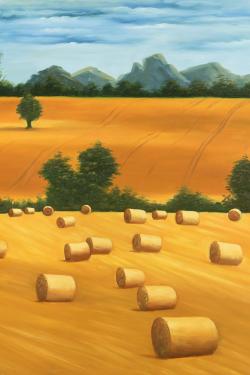 Hay bale fields