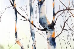 Three small birch trees