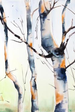 Three small birch trees