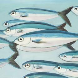 Small fish of caesio caerulaurea