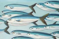 Small fish of caesio caerulaurea