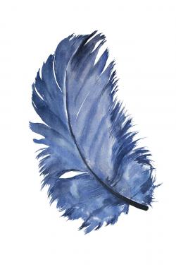 Watercolor blue feather