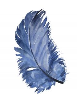 Watercolor blue feather