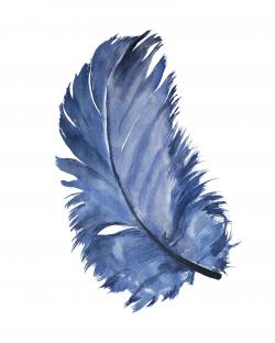 Watercolor blue feather
