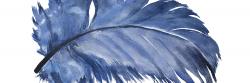 Watercolor blue feather