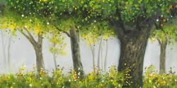 Forêt en été