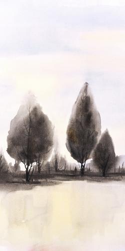 Landscape of trees
