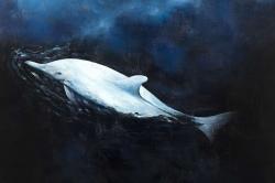 Swimming dolphin