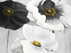 Assortiments de fleurs blanches