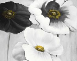 Assortiments de fleurs blanches