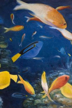 Colorful fish under the sea