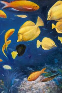 Fish under the sea