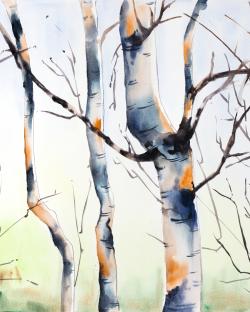 Three small birch trees