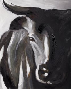 Plan rapproché d'un taureau