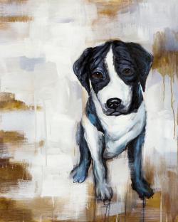 Sitting dog
