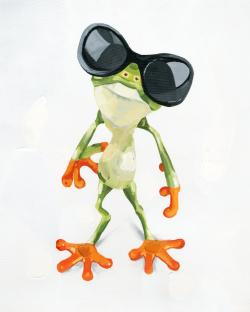 Funny frog with sunglasses