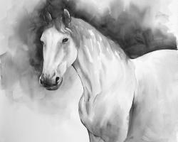 Domino horse