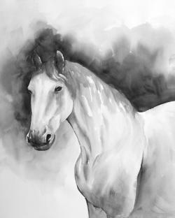 Domino horse