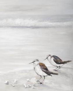 Deux oiseaux bécasseau