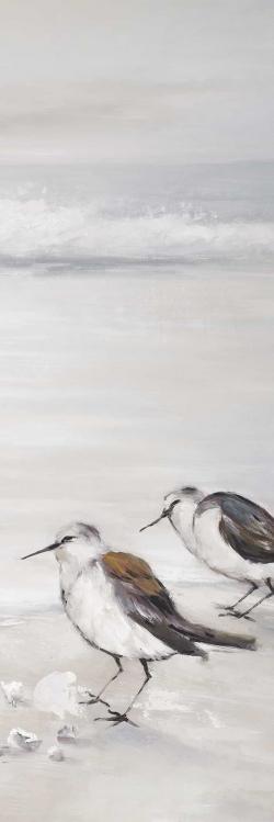 Deux oiseaux bécasseau