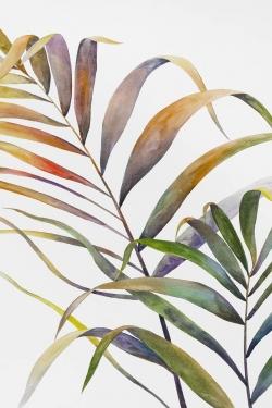 Feuilles de palmiers tropicaux à l'aquarelle
