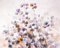 Wildflowers
