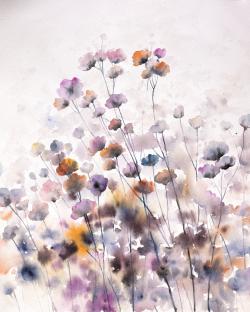 Wildflowers
