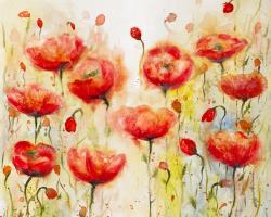 Red flowers garden