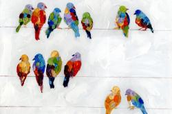 Oiseaux colorés sur des fils