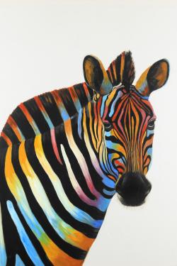 Colorful profile view of a zebra