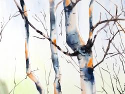 Three small birch trees