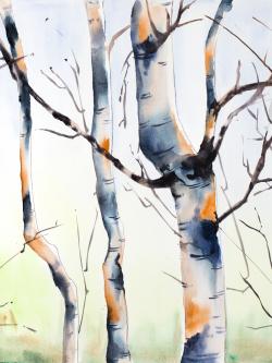 Three small birch trees