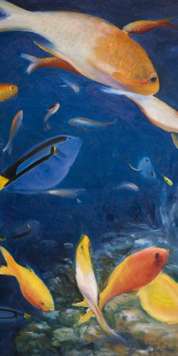 Colorful fish under the sea