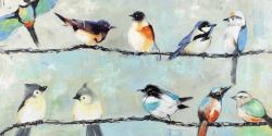 Petits oiseaux colorés