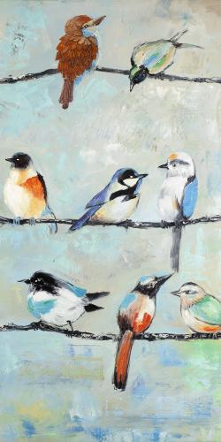 Petits oiseaux colorés