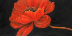 Red petal flower