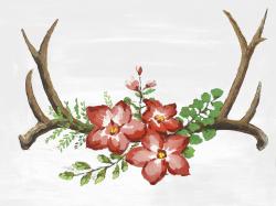 Bois de cerfs et fleurs roses