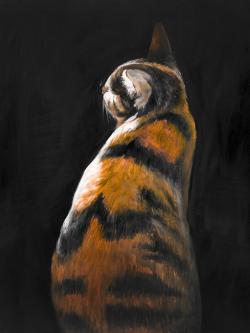 Spotted cat