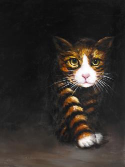 Discreet cat