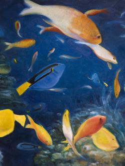 Colorful fish under the sea