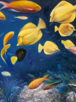 Fish under the sea