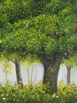 Forêt en été