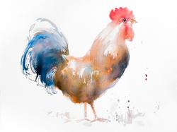 Coq style aquarelle