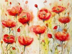 Red flowers garden
